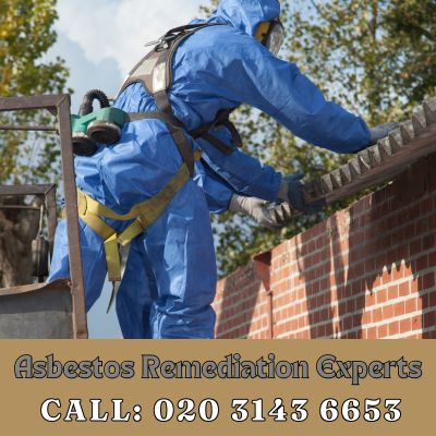 Asbestos Remediation Experts Ashford