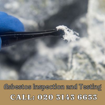 Comprehensive Asbestos Inspection and Testing Services in Ashford